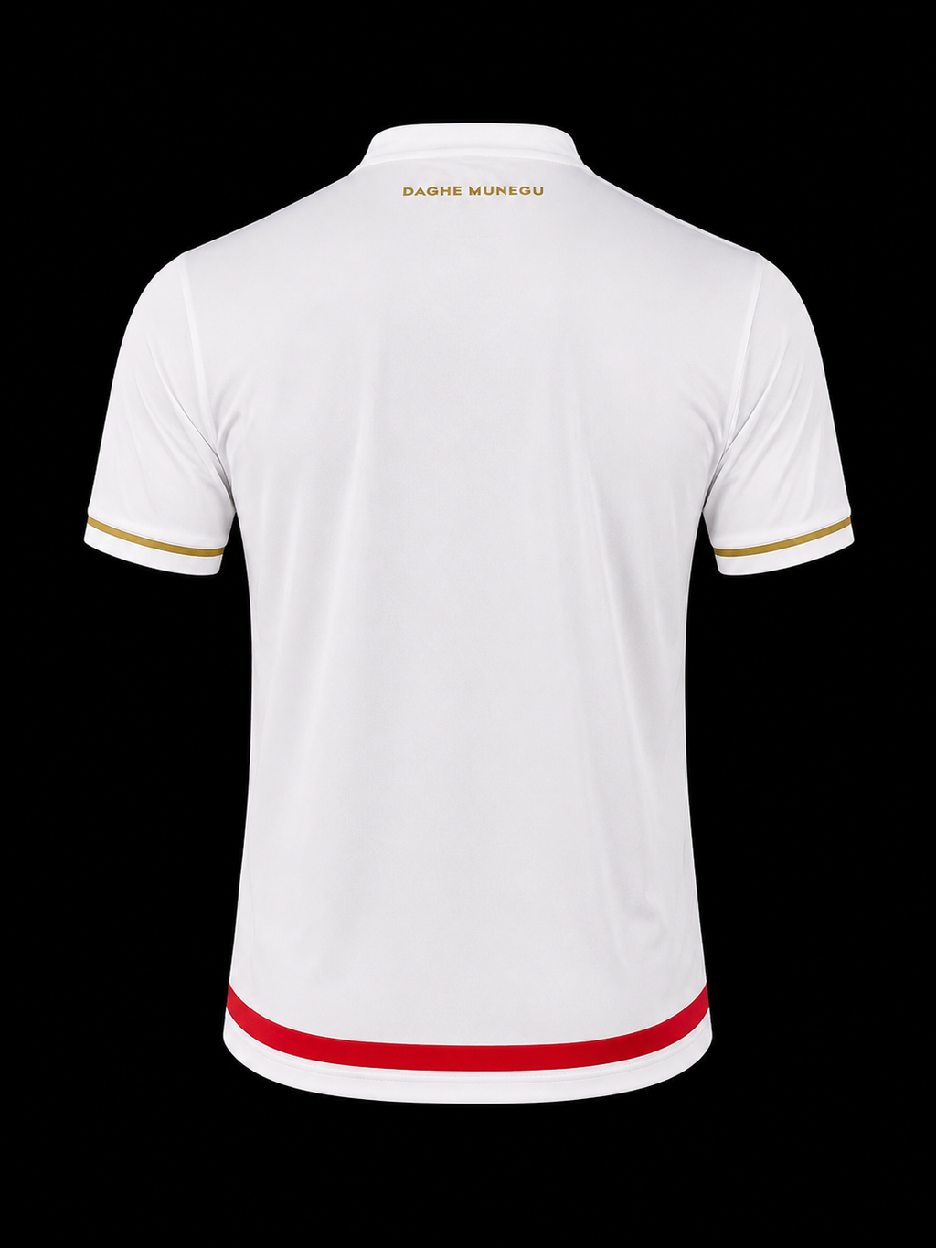 Maillot Concept AS Monaco – Édition Royale Domicile